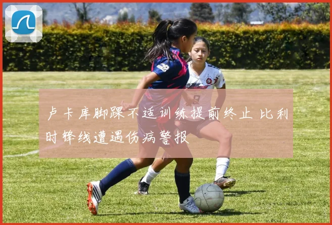 卢卡库脚踝不适训练提前终止 比利时锋线遭遇伤病警报